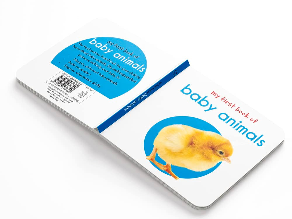 My First Library : Boxset of 10 Board Books for Kids