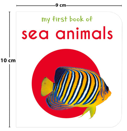 My First Library : Boxset of 10 Board Books for Kids